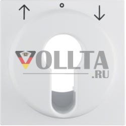 Berker 15081909 S.1 IP44 полярно-белый матовый центральный элемент